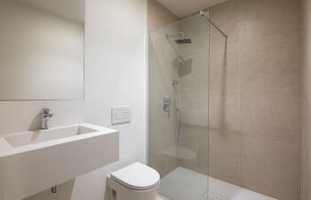 Bathroom after tub-shower convertion.